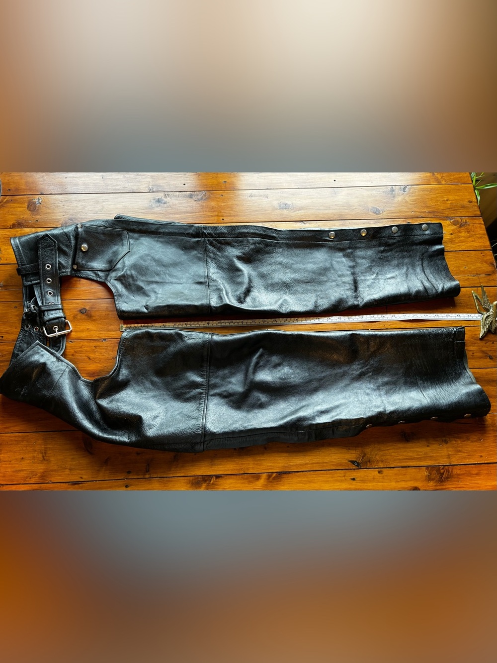 Leather Chaps - Picture 6 of 14